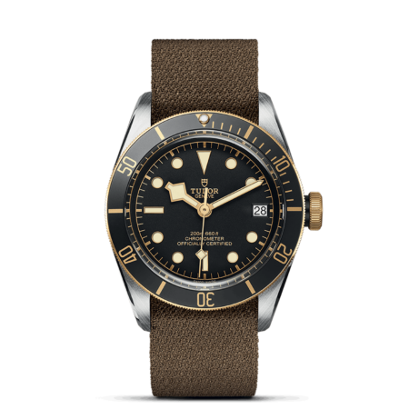 TUDOR Black Bay S&G